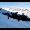 20080120_281